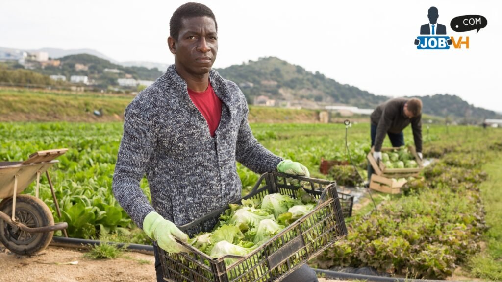 Farm Worker Jobs in Italy
